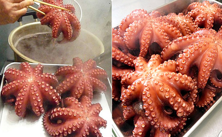 明石だこのゆでだこ 切り身100gと明石蛸のたこ飯の素1個 魚貝類 加工品 惣菜 炊き込みご飯の素 海の幸 海産物 急速冷凍 小分け 旨み たこ焼き つまみ 