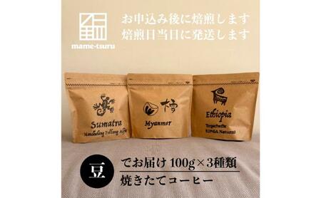 焼きたてコーヒー（豆のまま）3種類 珈琲 豆 コーヒー 豆のまま 焙煎したて 飲み比べ セット 明石市 兵庫