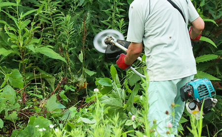 庭木剪定・除草作業チケット 70000円分　【明石市内対象】 サービス 剪定 除草作業 草刈り 自宅 庭 別荘 空き家 ガーデニング