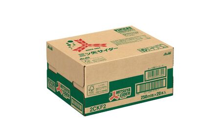 三ツ矢サイダー 缶250ml 40本 (20本入×2ケース)