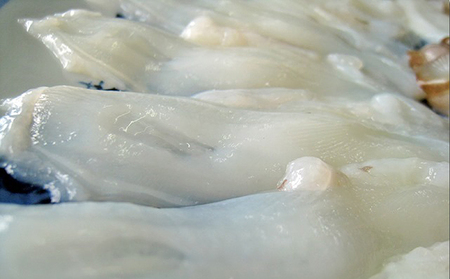 明石産の真蛸 蛸しゃぶ鍋【配送不可:北海道・青森・岩手・秋田・沖縄・離島】 魚貝類 タコ たこ 海鮮 冷蔵