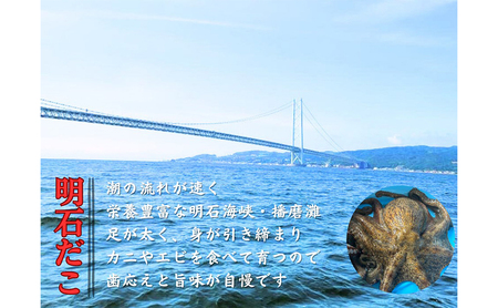 ほんまにうまい 釜あげ明石だこ 大 3尾 魚貝類 タコ 加工食品 