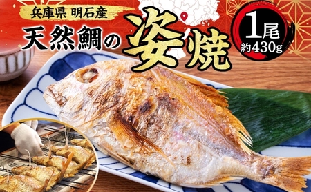 明石産 天然鯛の姿焼(2) 魚貝類 