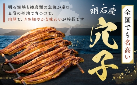 【3ヵ月連続お届け】特選明石産炭焼き穴子（タレ3個付き）[ 定期便 ] うなぎ 鰻 魚貝類 加工食品 