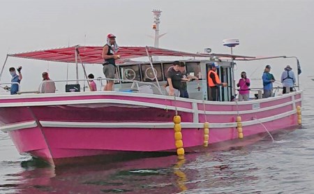 明石だこ竿釣り体験（乗り合い）2名様《6月初旬～8月中》 体験チケット 