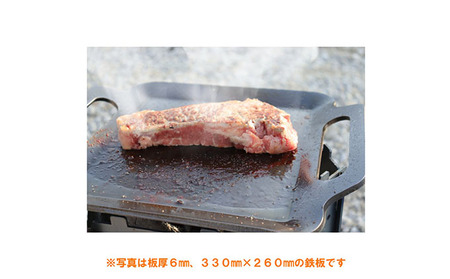 BBQ鉄板 極厚6mm Sワイドサイズ（42×26cm）バッグ付き 日本鉄具製作 ...