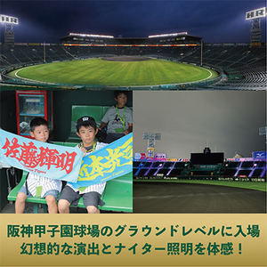 【クリスマスイブ限定】甲子園100周年記念ラストイベント＆阪神タイガース選手コラボグルメ チケット【1542860】