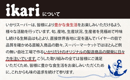 いかりの人気もなかアイスセット