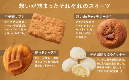 パティスリーベルン特製 甲子園スペシャルセット