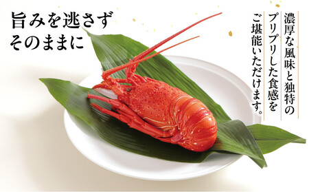 伊勢海老海鮮鍋・ボイル伊勢海老セット