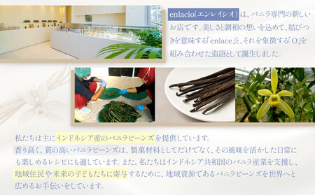 夙川バニラチーズタルト＜3個入＞