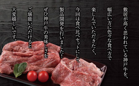 神戸牛食べ比べセット 計約1.17kg しゃぶしゃぶ・ステーキ・焼肉・煮込み 神戸牛