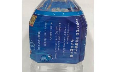 ミネラルウォーター巌聖水6500(がんせいすい6500)　(2L×6本入り)