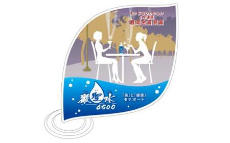 ＜毎月定期便＞ミネラルウォーター巌聖水6500(がんせいすい) 500ml×24本入り　全3回