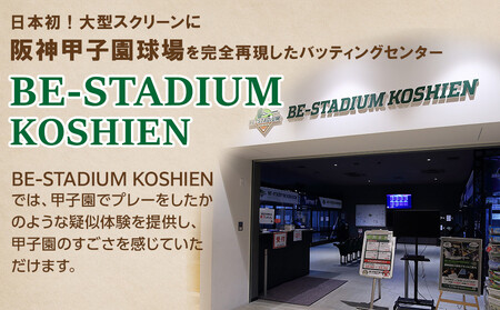 BE-STADIUM KOSHIEN 3種セット(7枚)