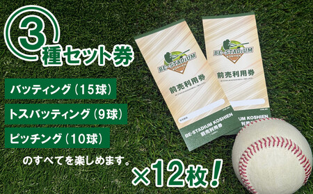 BE-STADIUM KOSHIEN 3種セット(12枚)