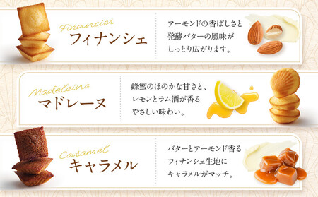 【アンリ・シャルパンティエ フィナンシェ】プティ・ガトー・アソルティ 12個入　　HPG-10N2 フィナンシェ 洋菓子 洋菓子