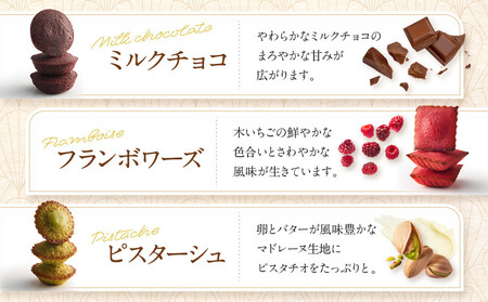 【アンリ・シャルパンティエ フィナンシェ】プティ・ガトー・アソルティ 24個入　　HPG-20N2 フィナンシェ 洋菓子 洋菓子