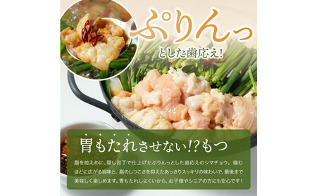 もつ鍋バラエティセット6人前(800g)