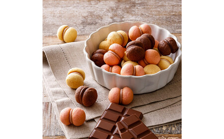 【季節限定】＜シーキューブ＞ティラミス・ファンタジスタ　M　CAS(TF)-40