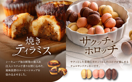 【季節限定】＜シーキューブ＞フルッタアソート　S　CAS(FR)-25