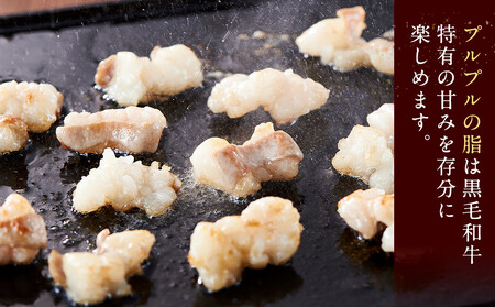 勘治郎の絶品ホルモン【とろける黒毛和牛】600g(300g×2P) ホルモン