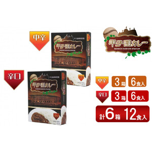 甲子園カレー＜中辛・辛口＞×3箱6食入  計6箱セット12食入 【カレー】