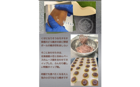 米粉のもちもちどら焼き 甲子園 10個