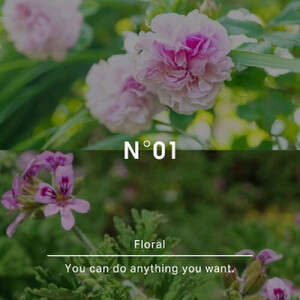 ヒーリングバスソルトNo.01 フローラル 450g