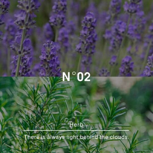 ヒーリングバスソルトNo.02 ハーブ450g