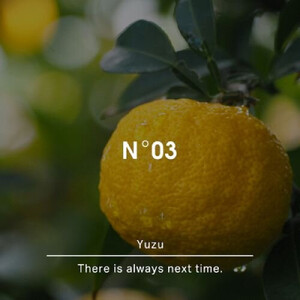 ヒーリングバスソルトNo.03 ユズ 450g