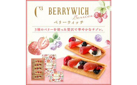 ＜シーキューブ＞ベリーウィッチ　10個入　CBW-21