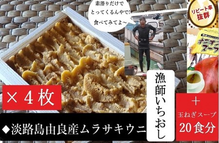 AU81◇ミシュランガイド掲載店も使用!淡路島由良漁港直送だからお届け出来る本物の由良ウニ(50g×4枚)+玉ねぎスープ付き