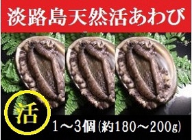 AU83◇極上淡路島産天然活きあわび!海水パックでお届け。漁港直送だから新鮮そのもの(2~3個)