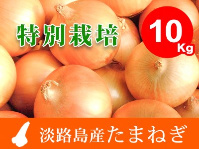 EB02◇兵庫県認証★特別栽培★淡路島たまねぎ10kg