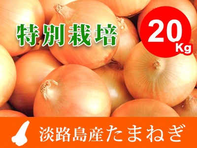 EB03◇兵庫県認証★特別栽培★淡路島たまねぎ20kg