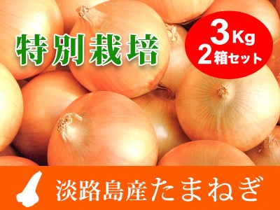 EB04◇兵庫県認証★特別栽培★淡路島たまねぎ3㎏×2箱