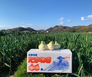 H037◇淡路島の新たまねぎ【極早生(ごくわせ) 春一番】(5kg×2回発送)