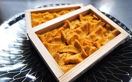 淡路島由良の赤 ウニ 【2枚】8月～9月配送 生食用 無添加 木箱入り ミョウバン不使用 うに 雲丹 冷蔵配送 兵庫県 洲本市 淡路島