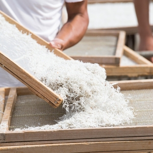 淡路島 中原水産の天日干し ちりめんじゃこ 350ｇ（70ｇ×5個） 小分け ごはんのお供 冷蔵 冷蔵配送 兵庫県 洲本市