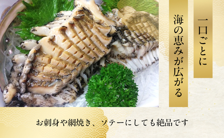 天然 活 あわび 3～5個入り 刺身 黒あわび 赤あわび 貝 冷蔵配送 兵庫県 洲本市 淡路島