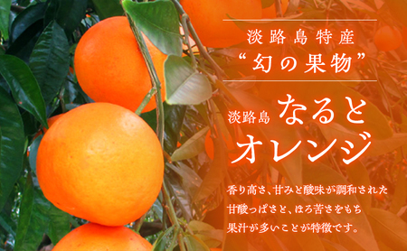 淡路島 なると オレンジ 5kg なるとオレンジ フルーツ 果物 春 旬 兵庫県 洲本市