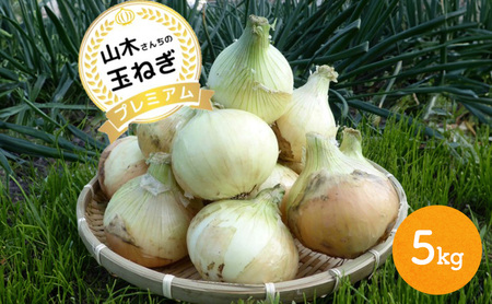 山木さんちのプレミアム 新玉ねぎ 5kg 期間限定 玉ねぎ 旬 春 産地直送 兵庫県 洲本市 淡路島