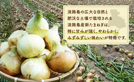 山木さんちのプレミアム 新玉ねぎ 5kg 期間限定 玉ねぎ 旬 春 産地直送 兵庫県 洲本市 淡路島