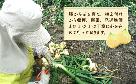 山木さんちのプレミアム 新玉ねぎ 5kg 期間限定 玉ねぎ 旬 春 産地直送 兵庫県 洲本市 淡路島