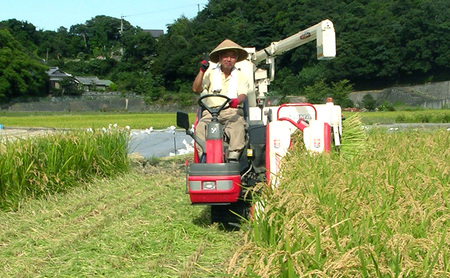 お米 3kg と 季節の野菜 セット 米 野菜 旬 詰め合わせ 白米 精米 野菜セット 兵庫県 洲本市 淡路島