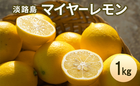 淡路島 マイヤーレモン 1kg 檸檬 れもん 果物 フルーツ 季節の果物 兵庫県 洲本市 淡路島