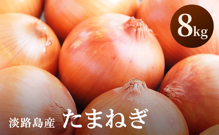 淡路島産 玉ねぎ 8kg たまねぎ タマネギ 甘い 野菜 旬の野菜 季節の野菜 兵庫県 洲本市 淡路島