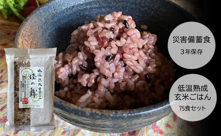 災害備蓄食 低温熟成 玄米ごはん 佳の舞 75食 セット 天然由来の原材料のみ使用 保存料不使用 着色料無添加 酵素玄米 発酵玄米 兵庫県 洲本市 淡路島