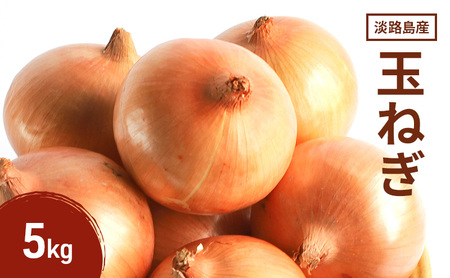 淡路島産玉ねぎ 5kg 野菜 淡路島産 玉ねぎ 玉葱 甘い 兵庫県 洲本市 淡路島